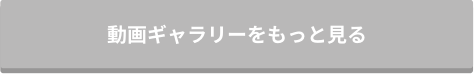 動画ギャラリーをもっと見る